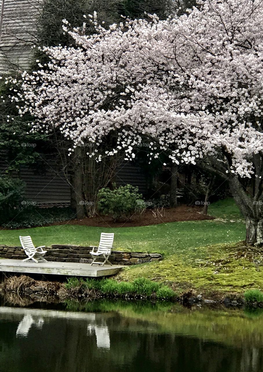 Peaceful Sitting surrounded by nature 