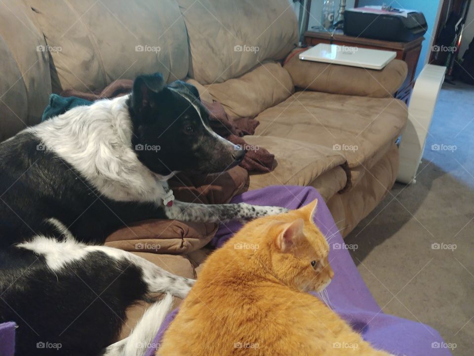 watching TV together