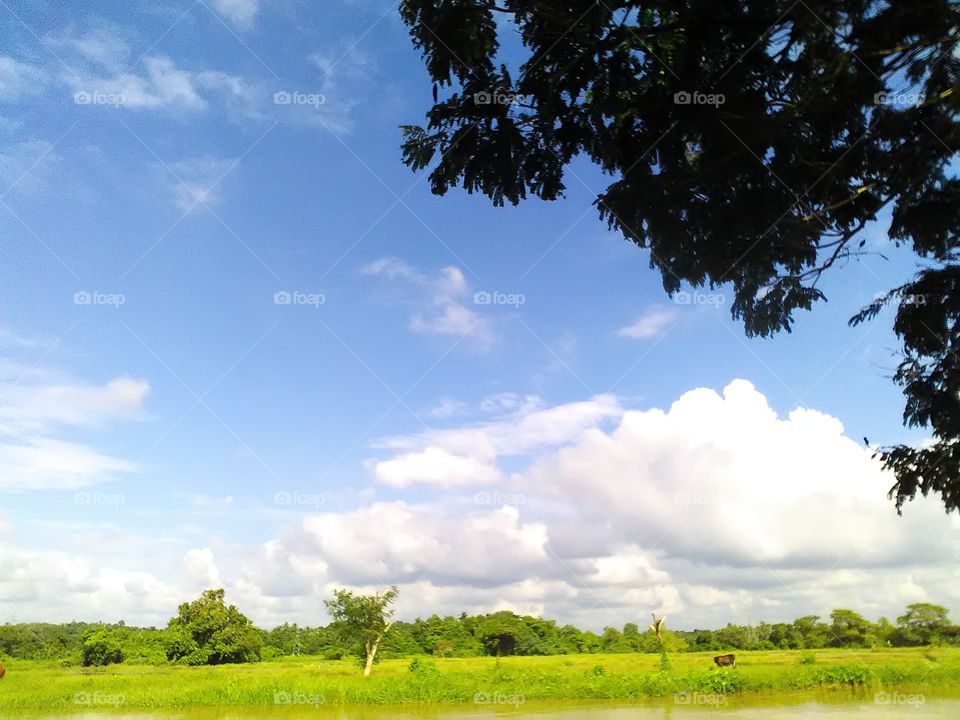 bright sunshine pouring on to the Eye soothing paddy fields surrounded by the forests and the lake.. What a wonderful day to rejoice and enjoy