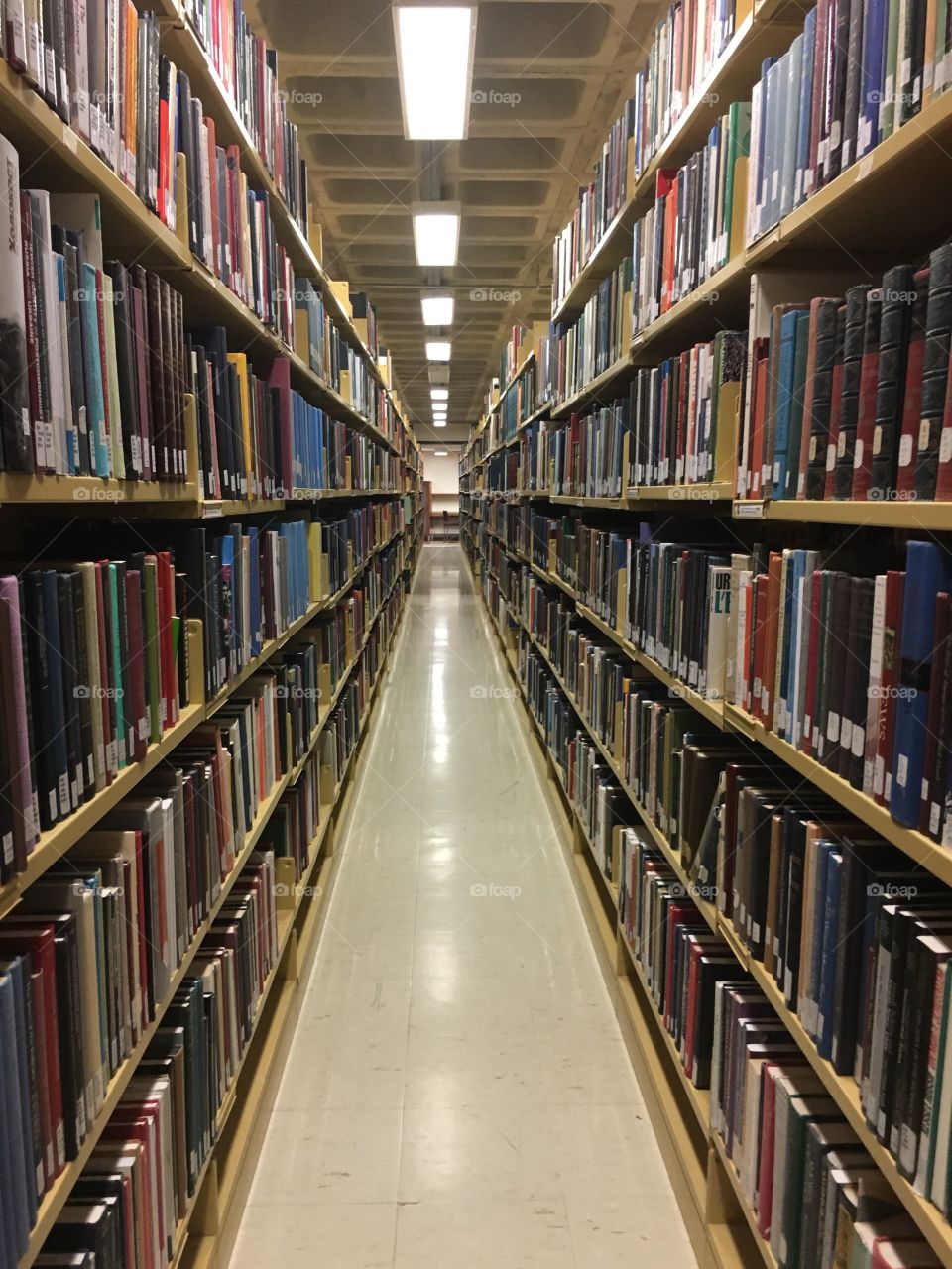 Library days