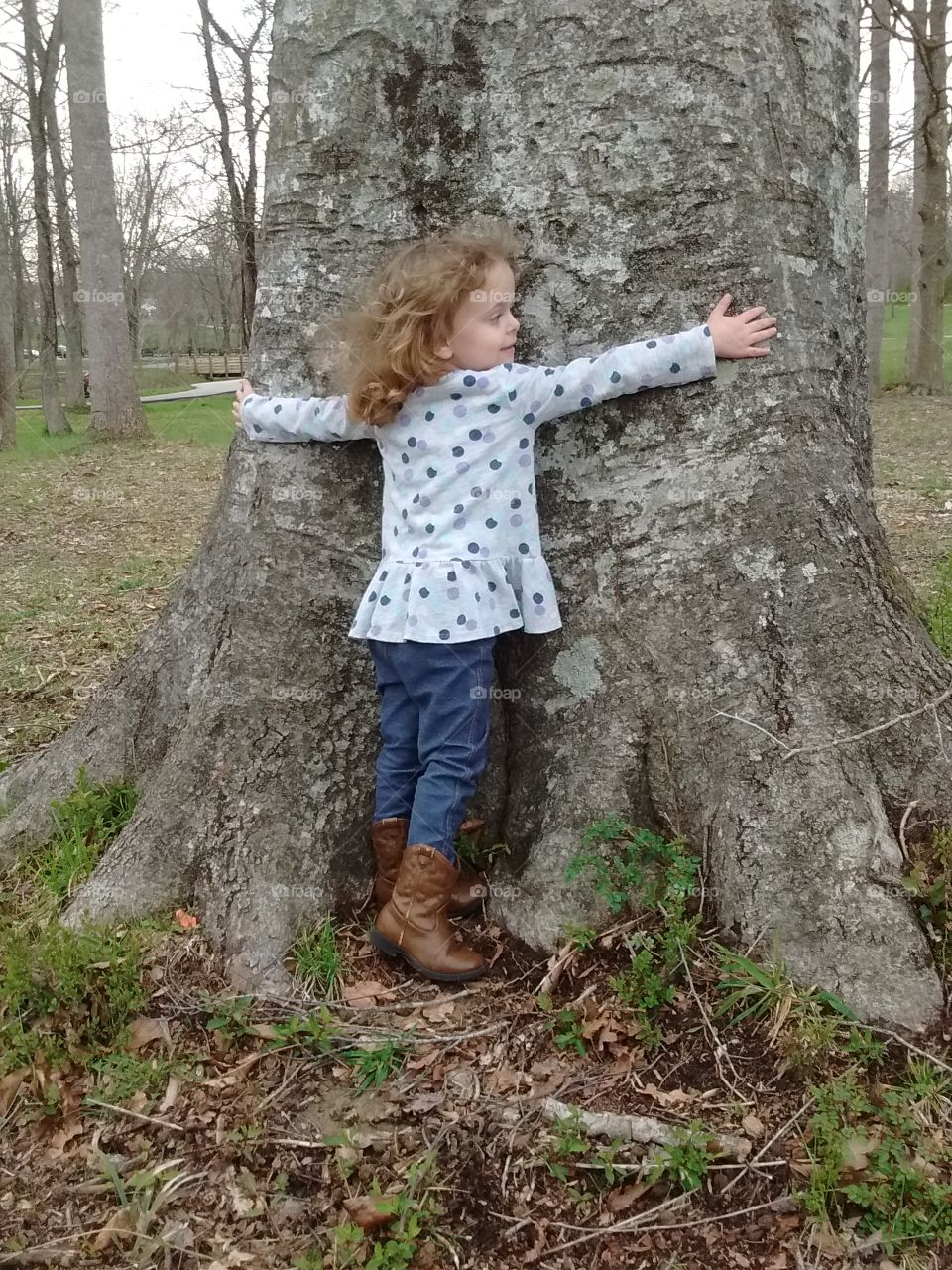 Tree hugging