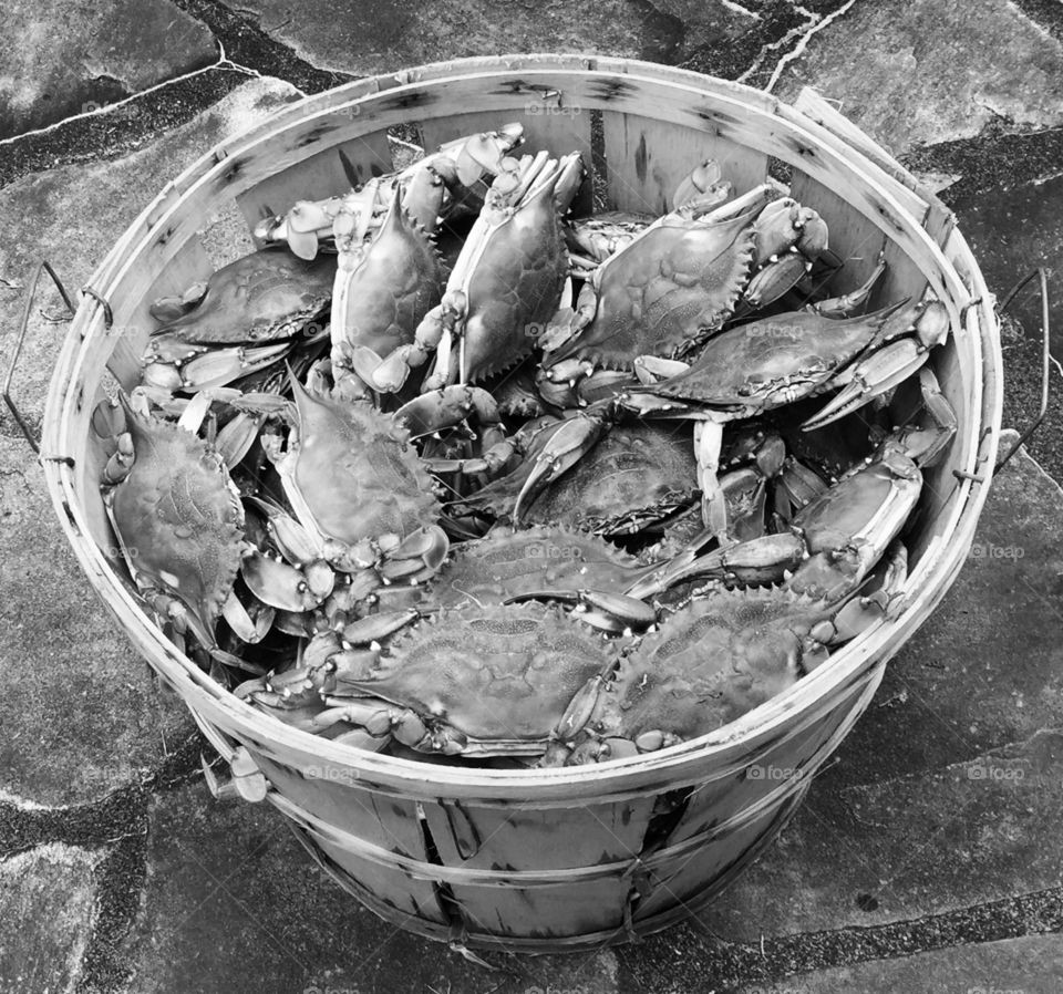 Bushel of crabs