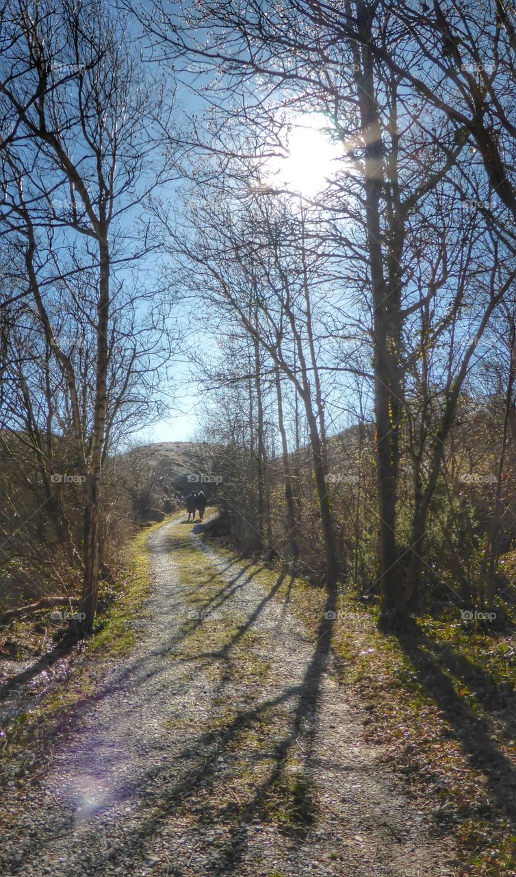 walking in the sunshine . walking in the sunshine 