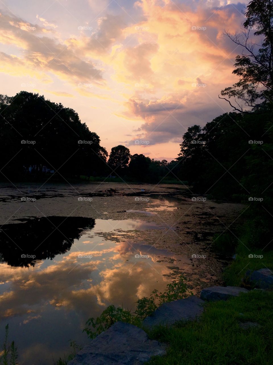 Butterfly Pond in Lincoln, RI - peaceful nature scene consisting placid water reflecting the clouds and sky at sunset surrounded by silhouetted trees.
