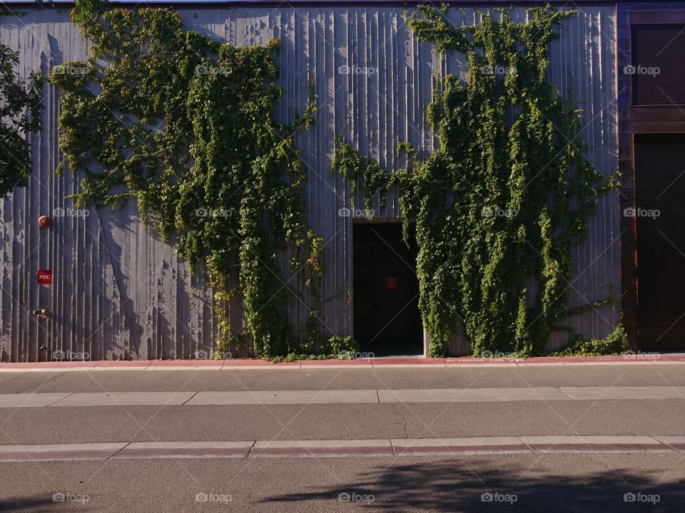 Side door surrounded by ivory of Scottsdale Museum of The West. Scottsdale Arizona