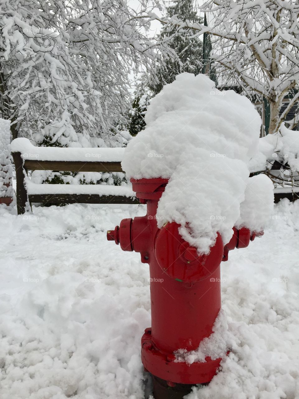 Fire Hydrant in the snow
