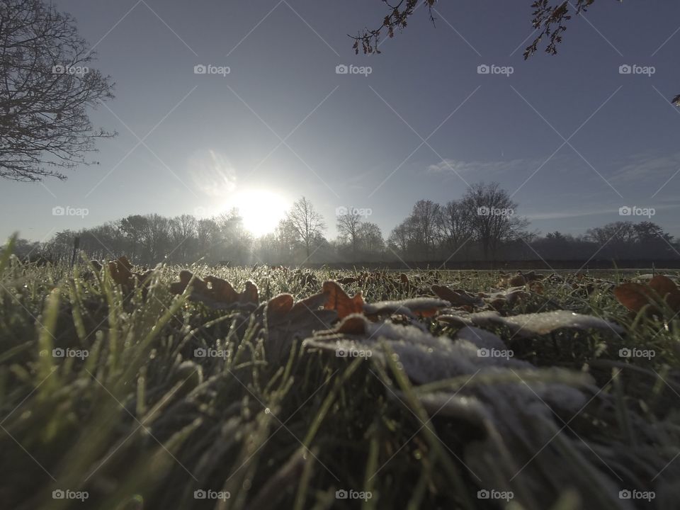 Countryside sunrise showing the colorful sky over the frozen grass