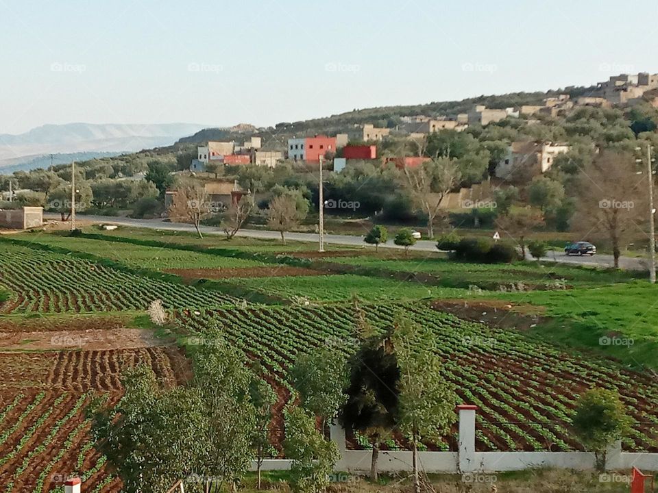 Population between the nature