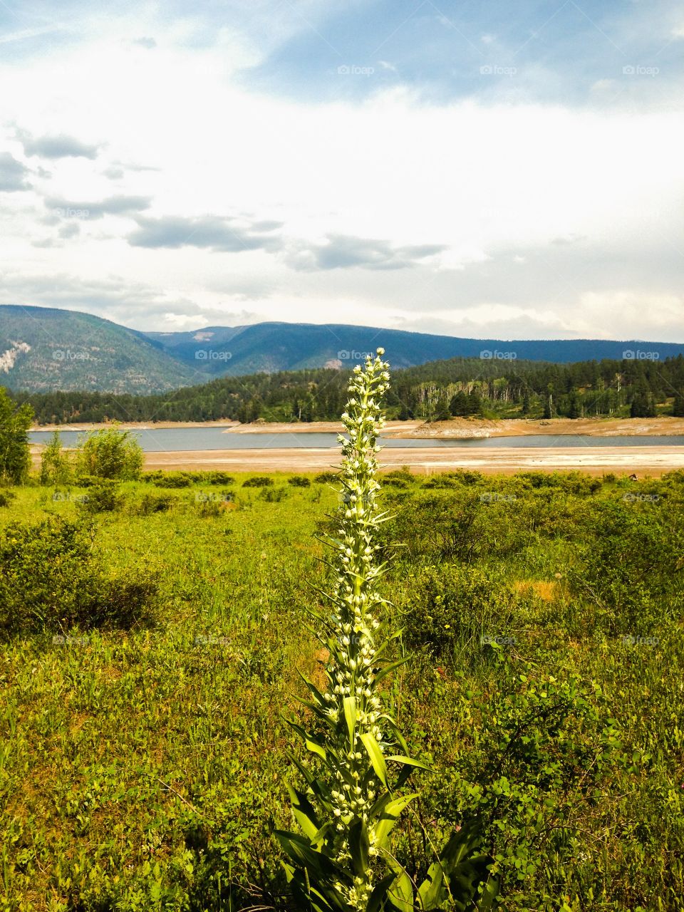 Lake and mountains