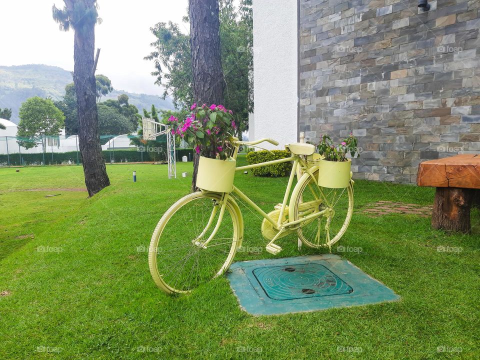 Lonely Bicycle