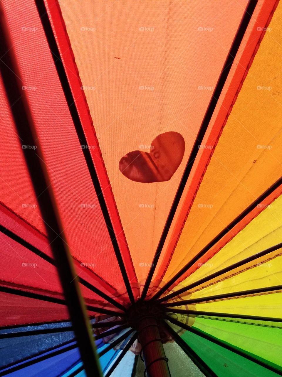 love shadow from under of the umbrella