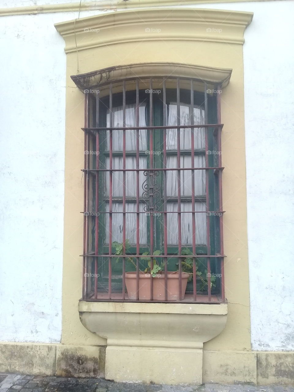 antiguo ventanal de madera con rejas con una maceta y una planta de malvón como decoración.