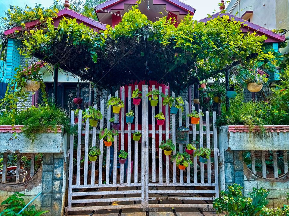 Urban nature - plants - Door - roof with plants 