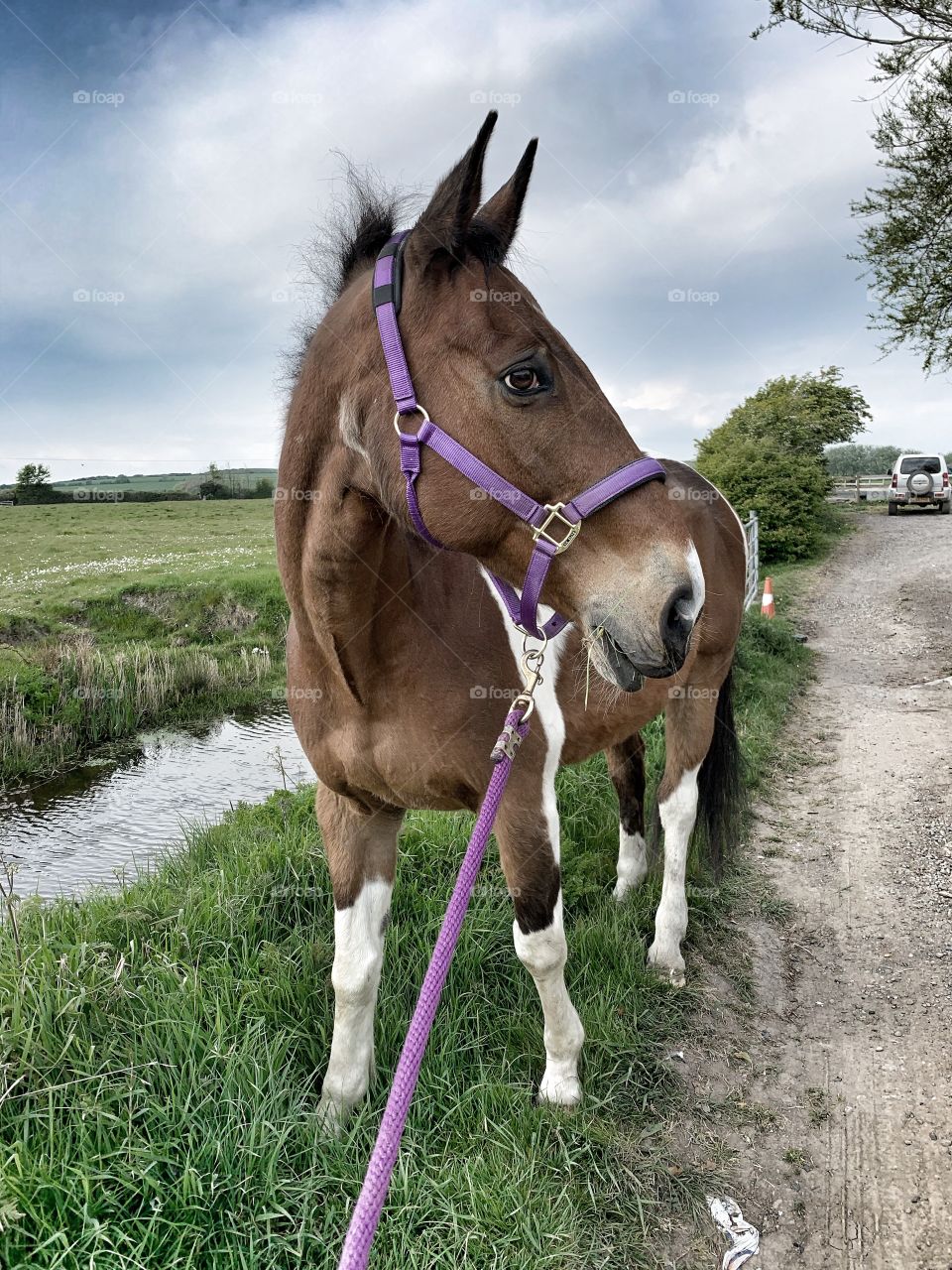 Morning walks with a difference 