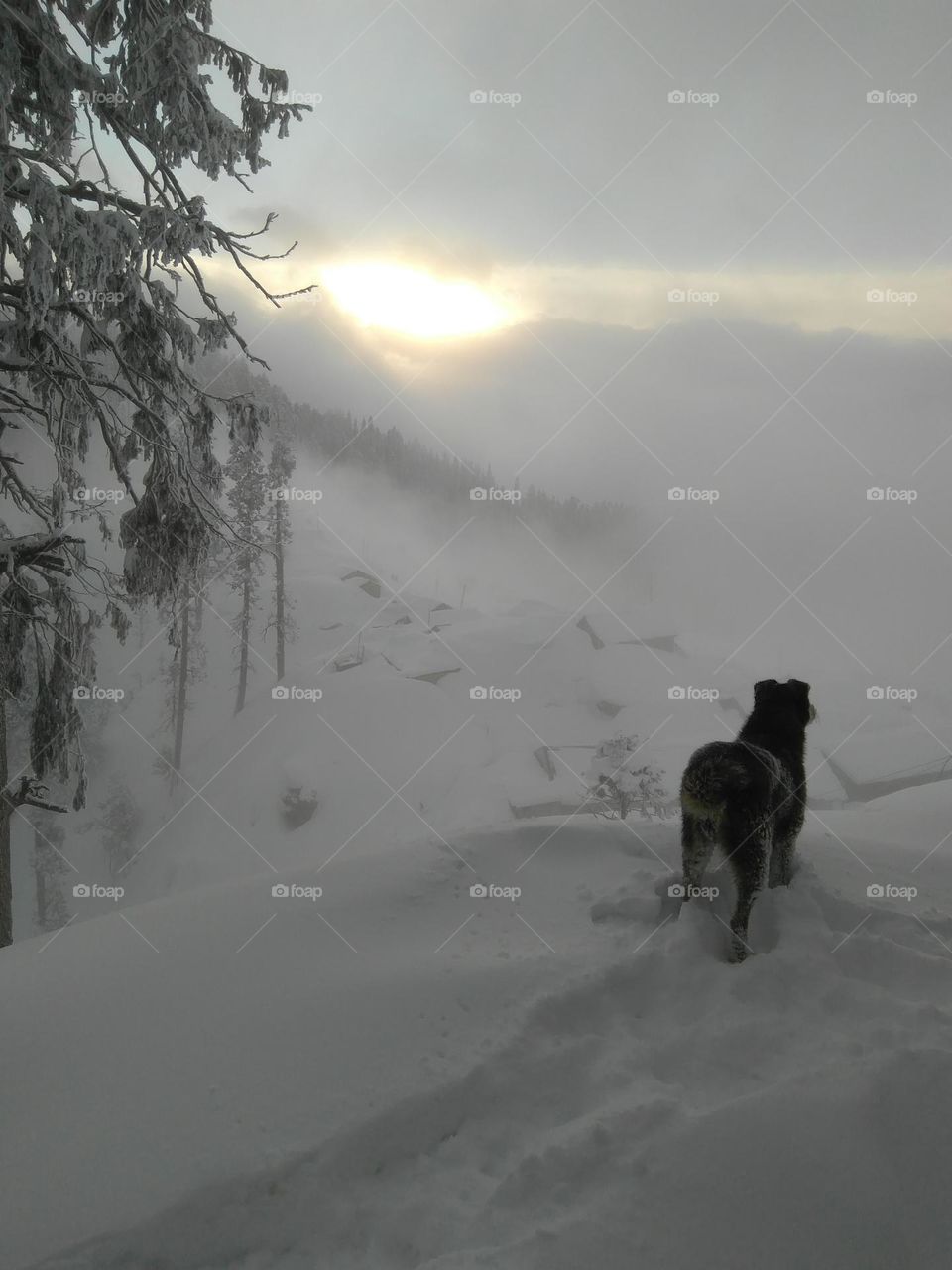 when will end winter