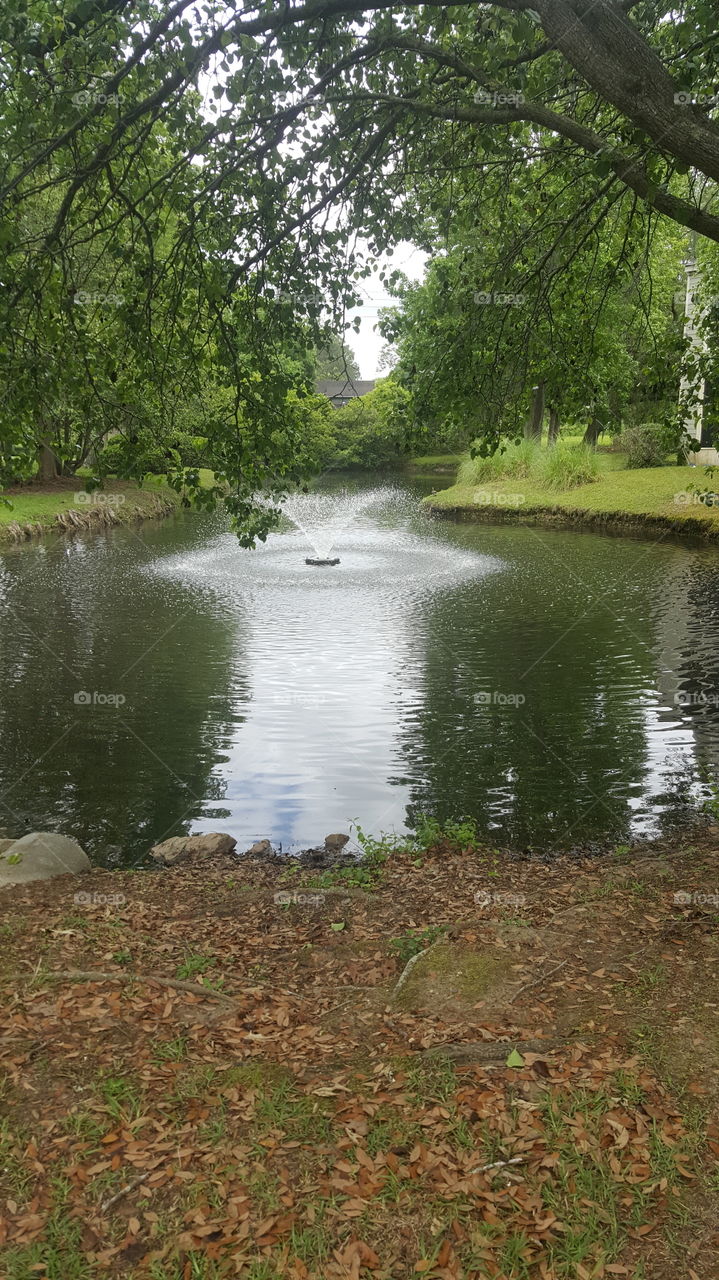 Pond fountain