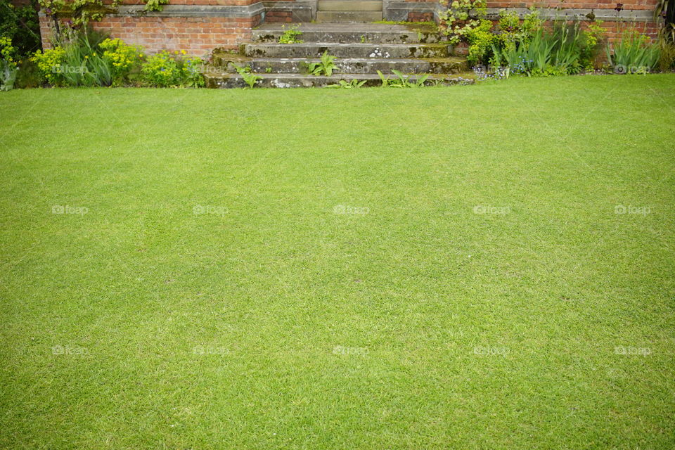 Lawn