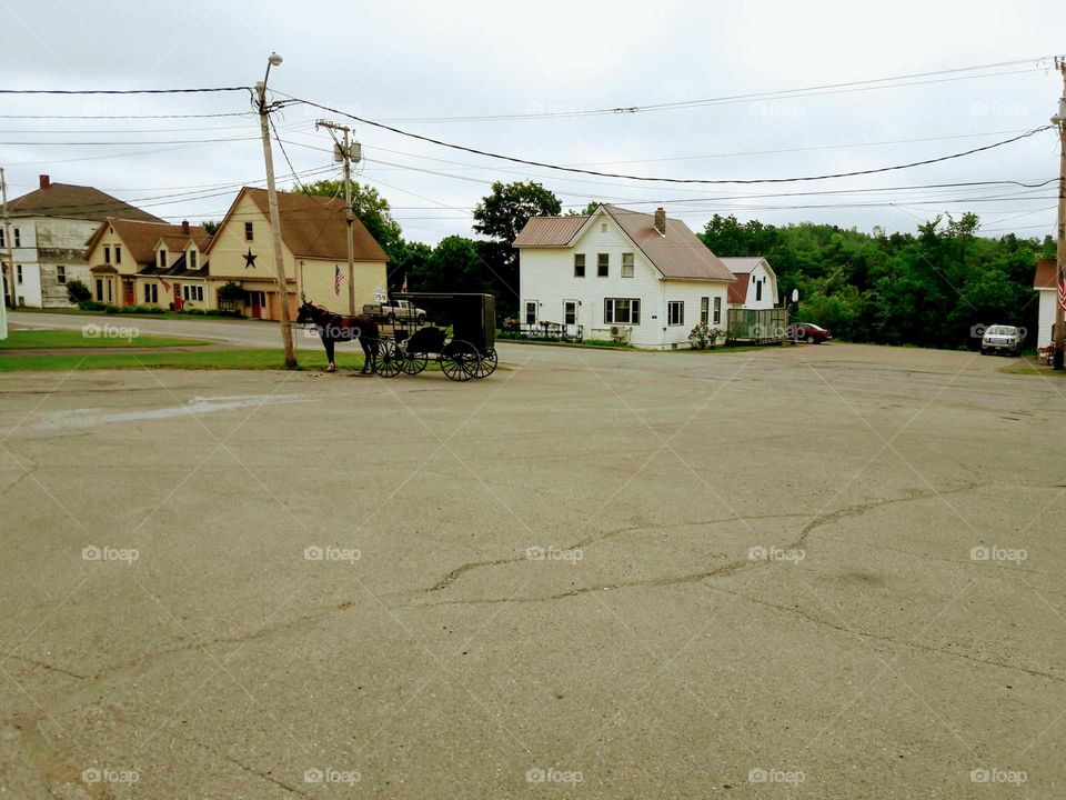 You never know what you will see.