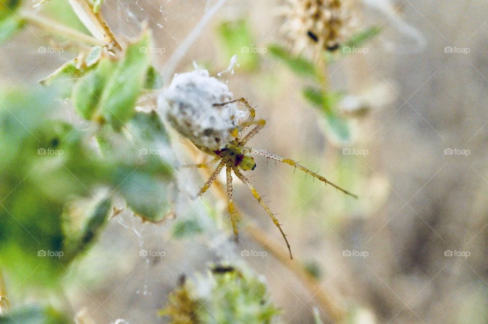 Don’t dare to touch my babies 