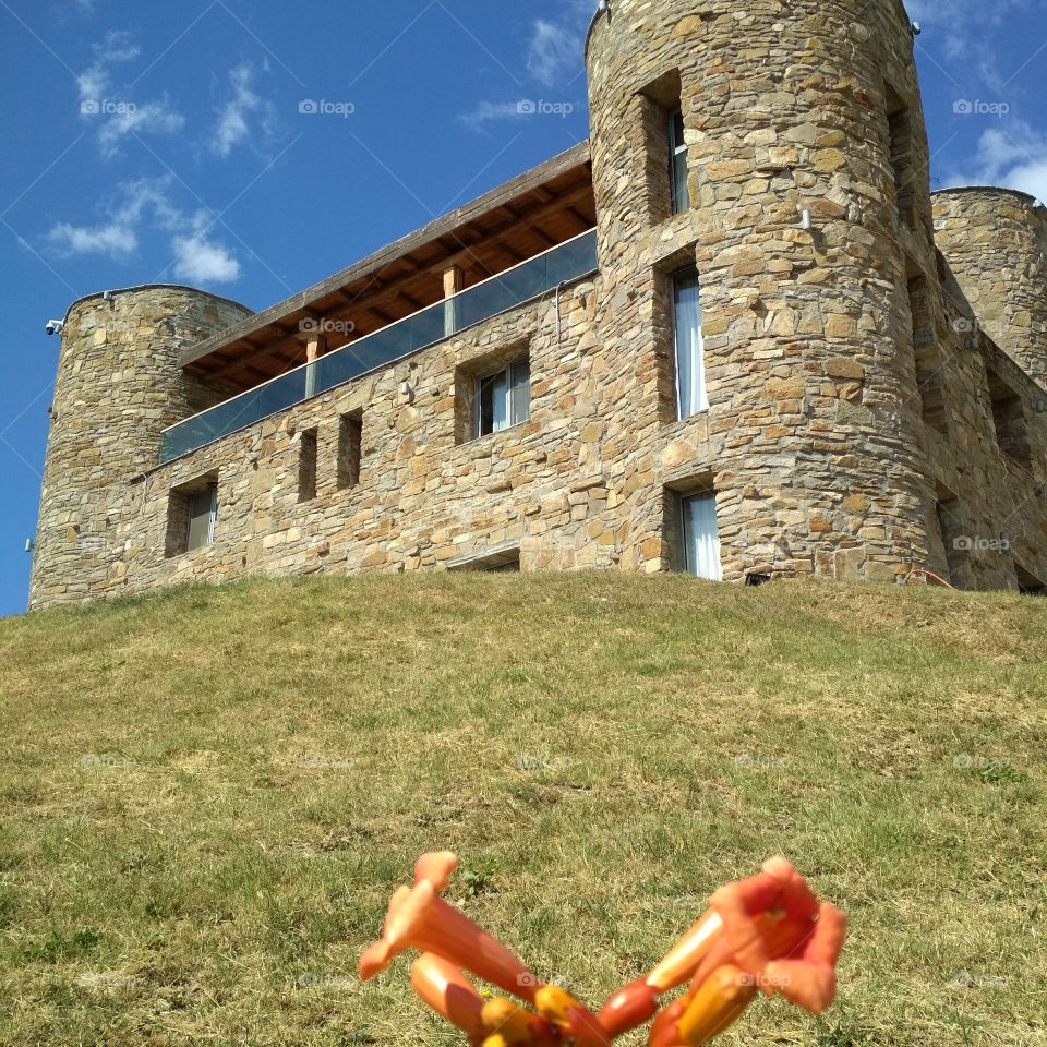 Gothic house with winery