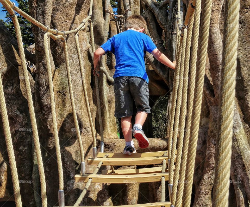 Boy On A Rope Bridge