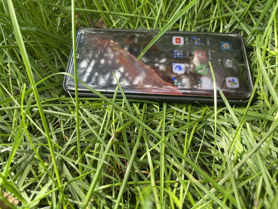 Nature versus machine 