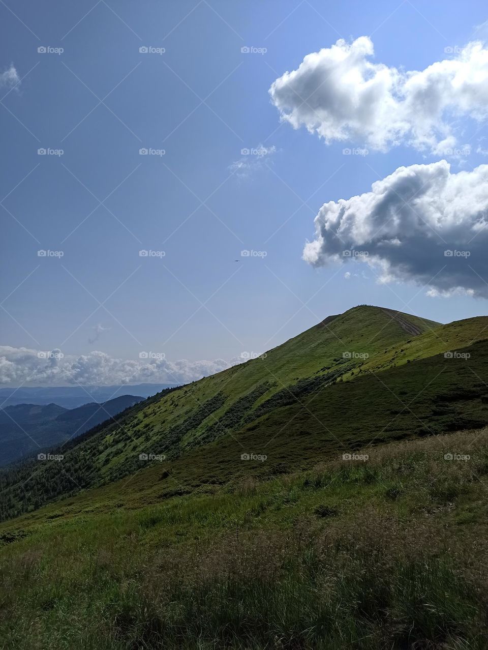 Your favourite travel destination
My beloved Carpathians. Green flower meadows. Cows with bells around their necks. Unforgettable trip across Ukraine. Mountains Dragobrat. Magnificent nature.