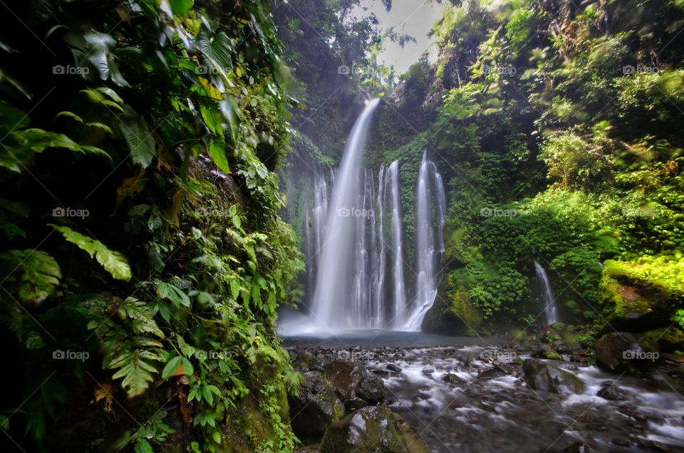 Tiu Kelep Waterfall near Rinjani, Senaru Lombok indonesia. Southeast Asia. Motion blur and soft focus due to Long Exposure Shot.