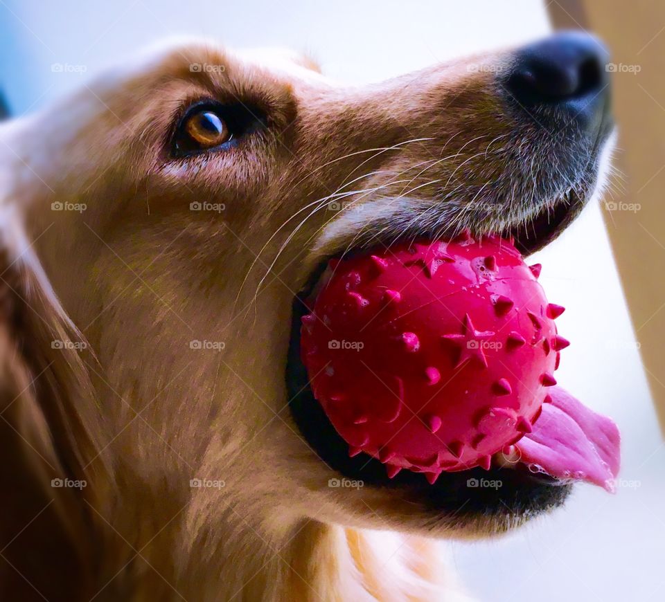 Bright pink ball!