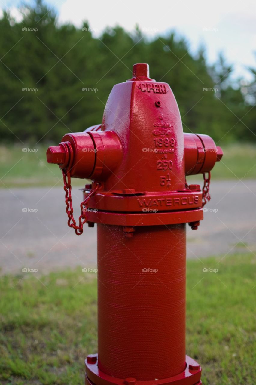 Fire Hydrant Across From Woods