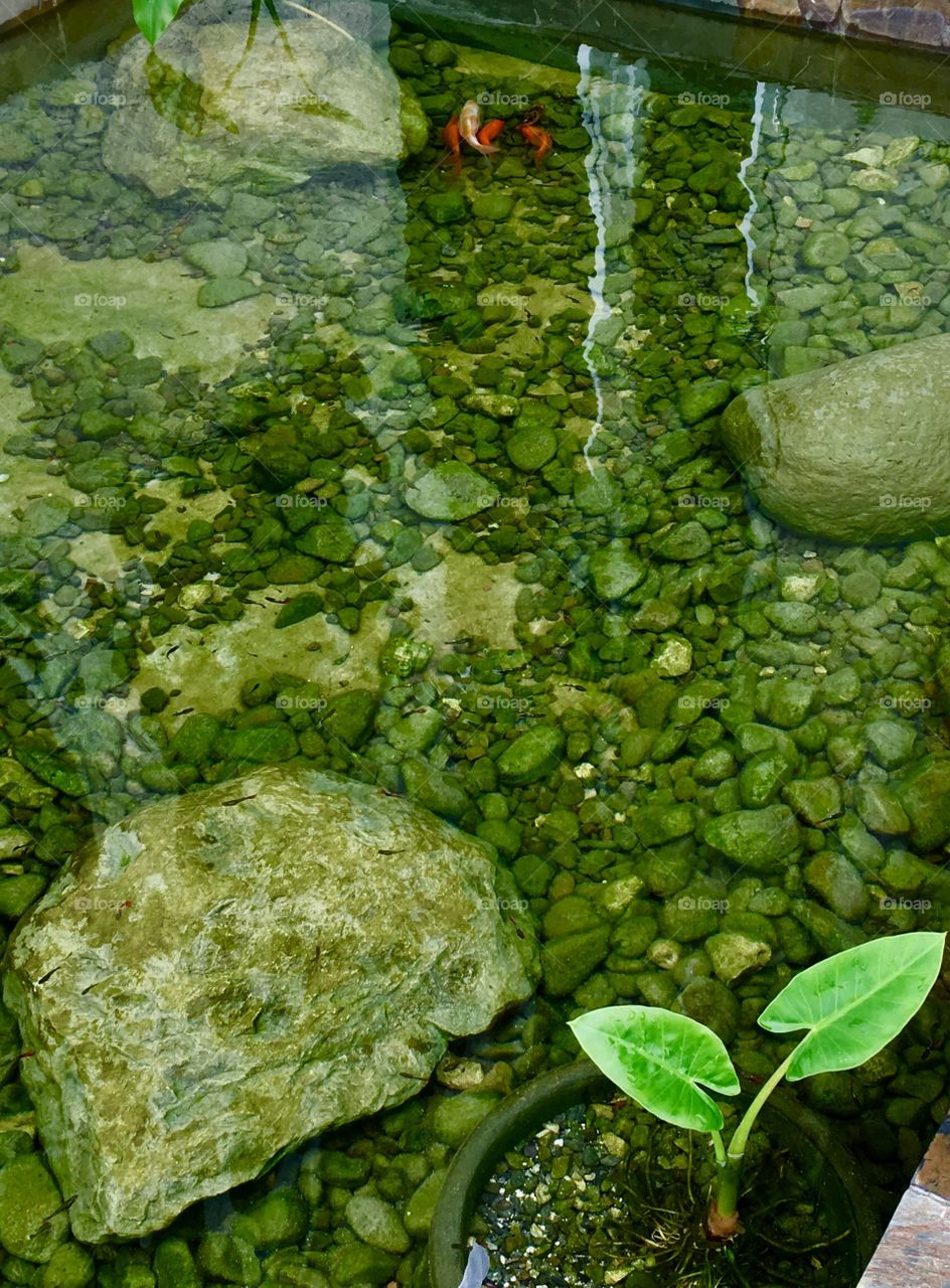 Stone under clear water!