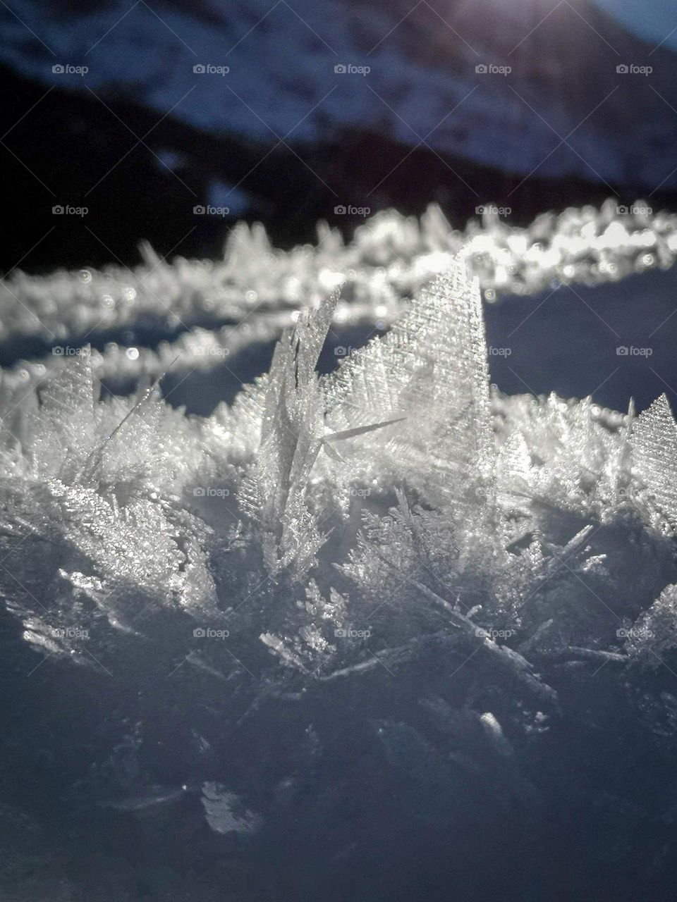Snow crystals that formed very interesting shapes