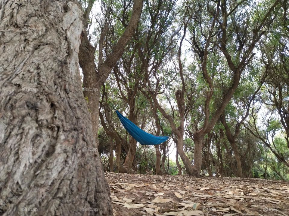 hammock from there