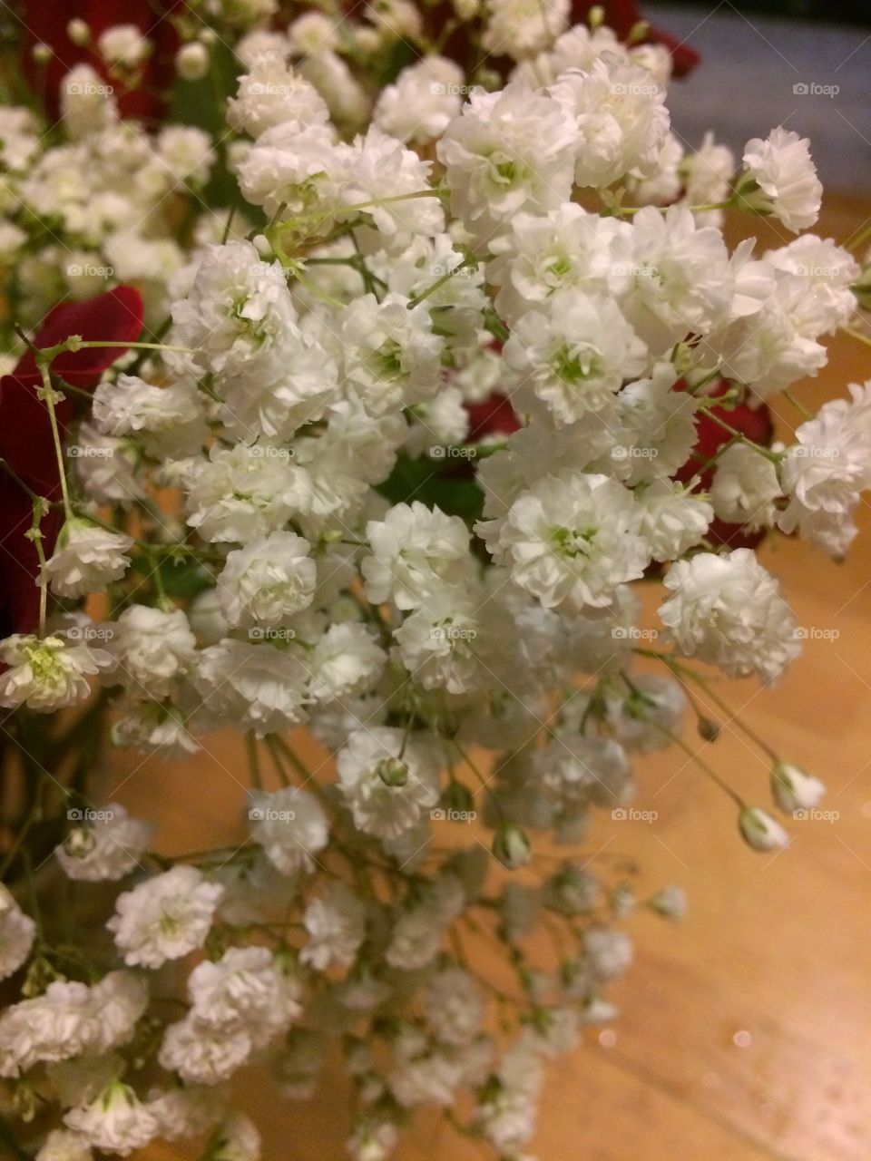 Baby's breath flowers