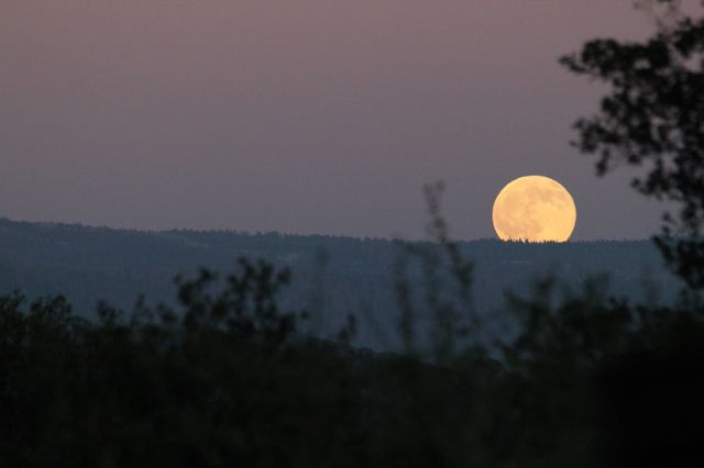 moonrise