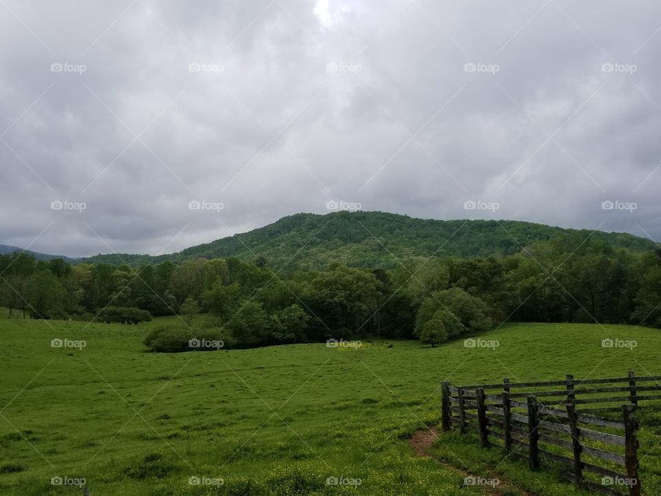 Georgia Mountains