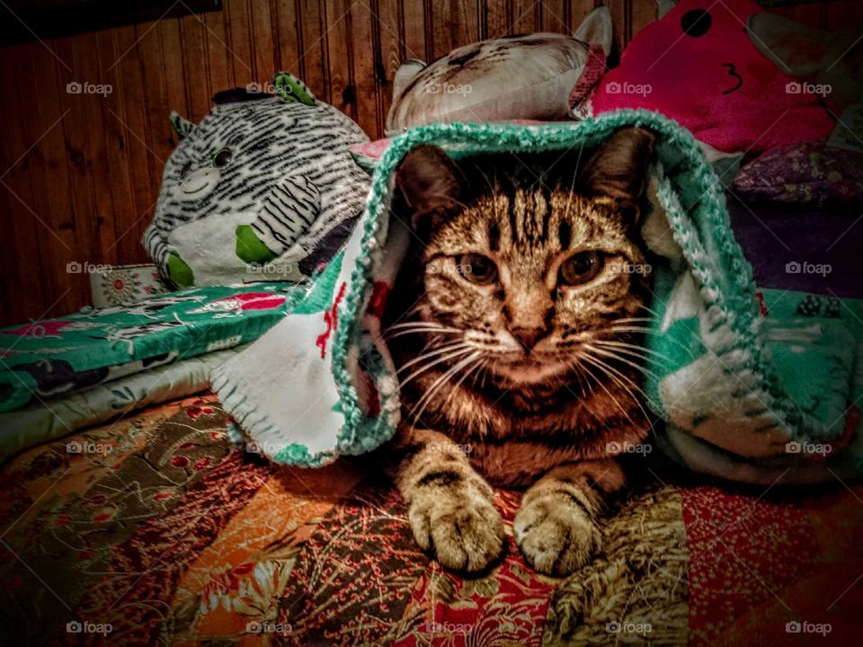 May the force be with you