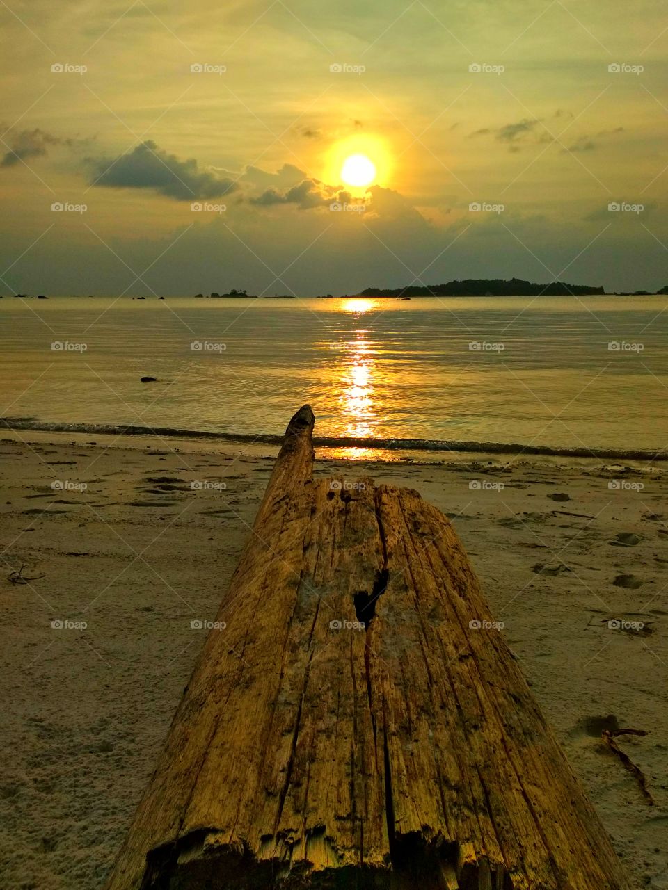 Wood sunlight conjunction