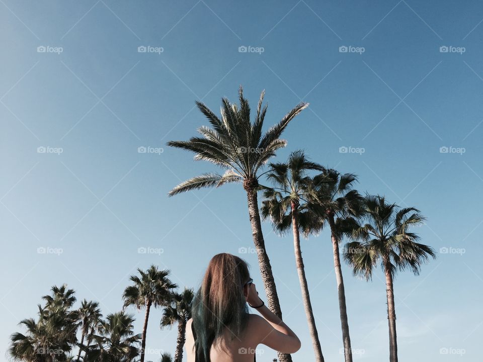 Palms and the girl