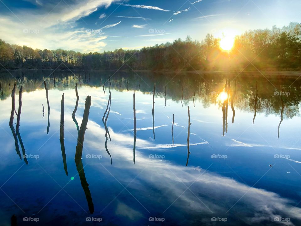 Sticks and branches sticking out of the water of a lake in a forest under a blue sky with a setting or rising sun, all reflected on the surface of the water