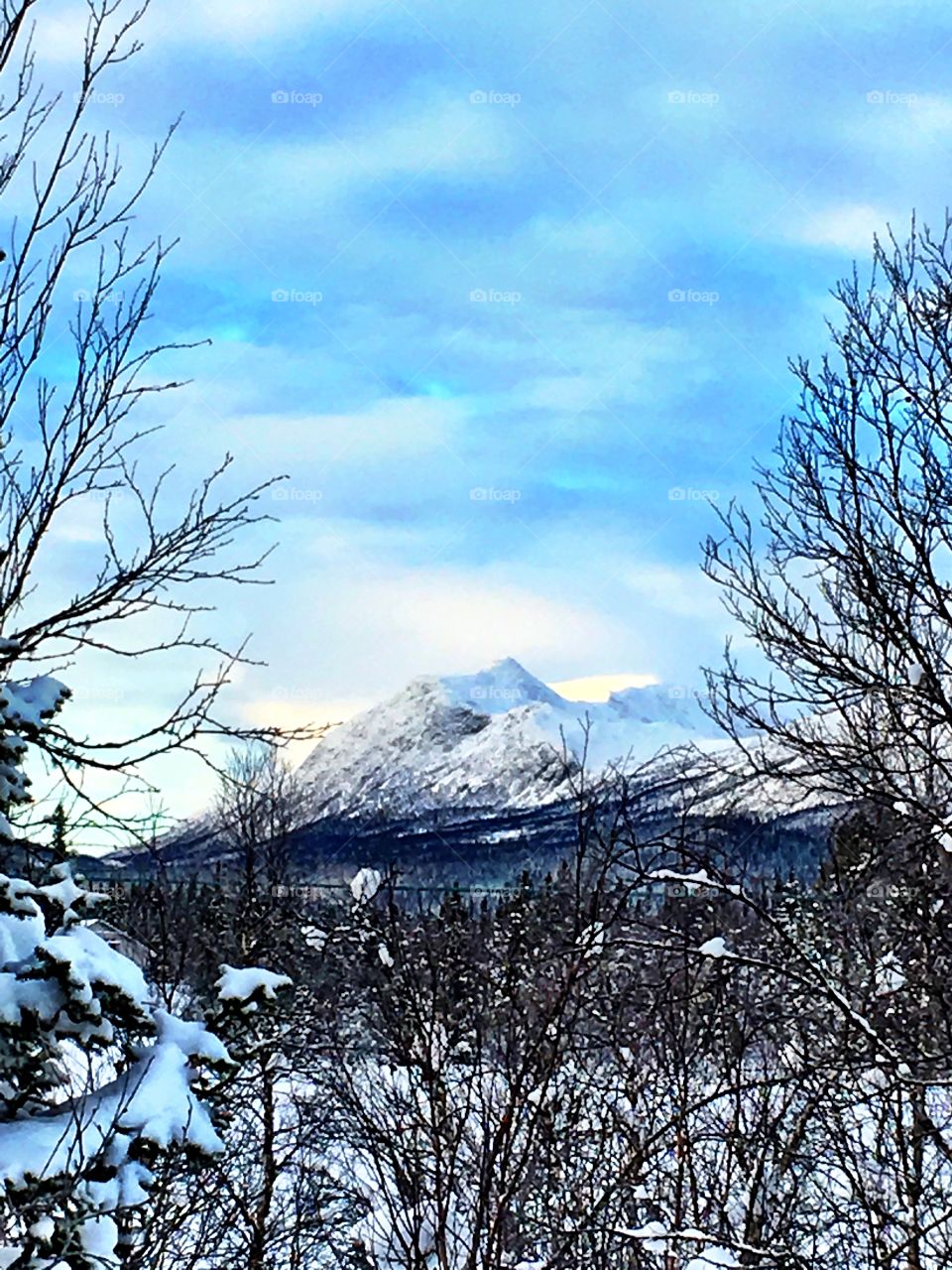 Scenic view of nature during winter