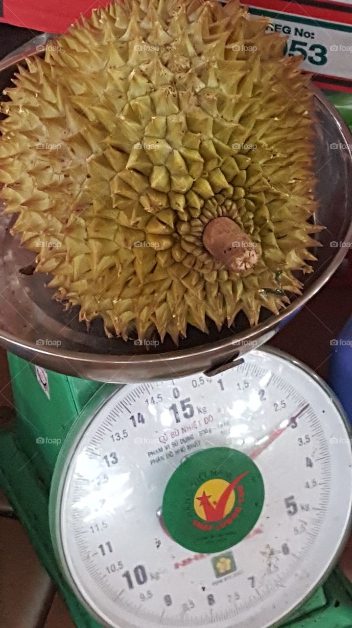 durian