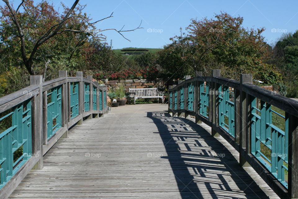 Bridge to Tranquility 