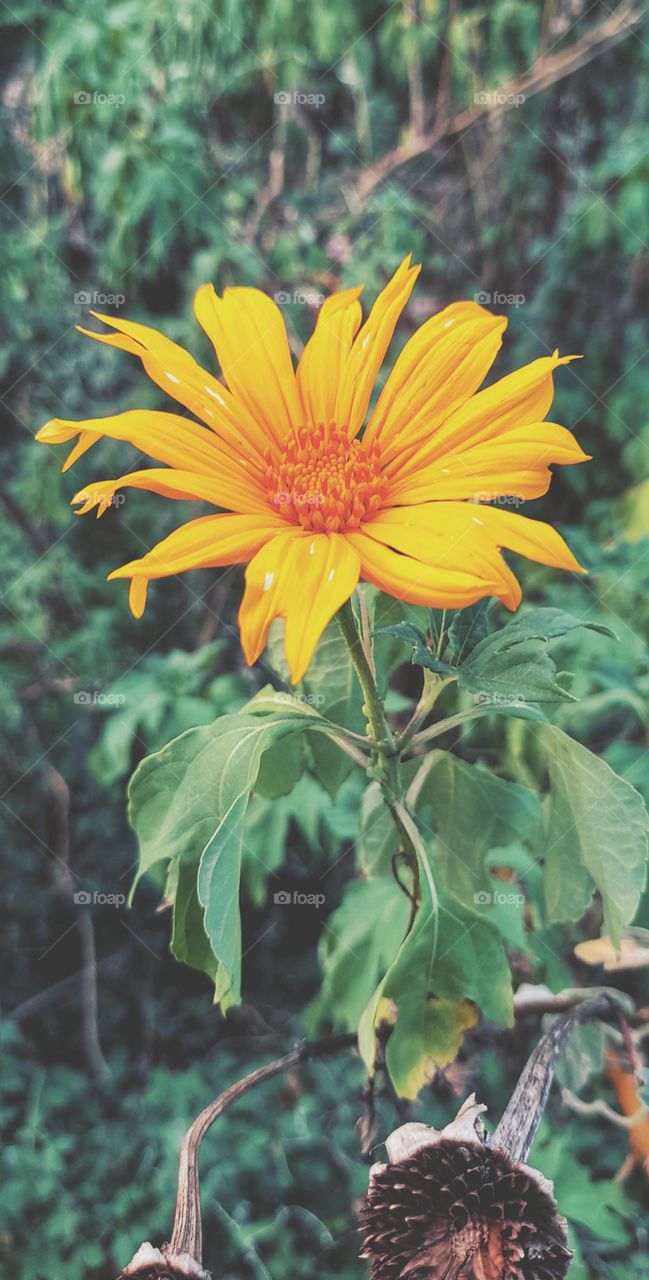 getting ready for spring