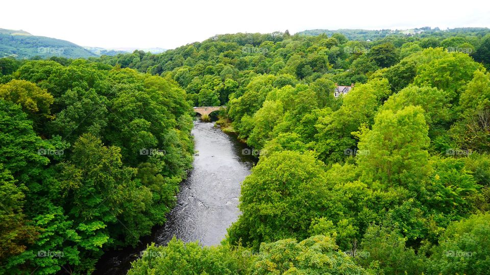 Forested mountains and a river 