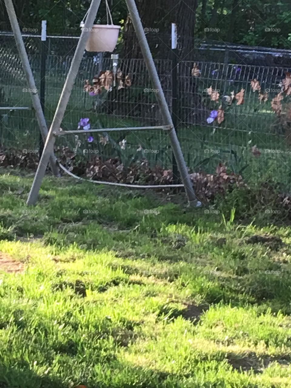 Making this old frame into a plant stand and hanger. I think I’ll paint it too, 