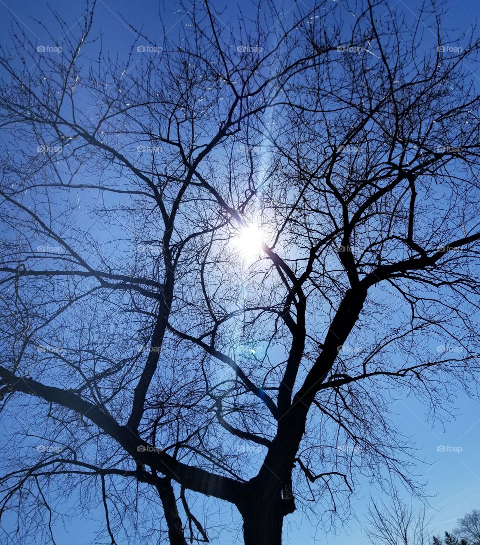 Beautiful first day of spring