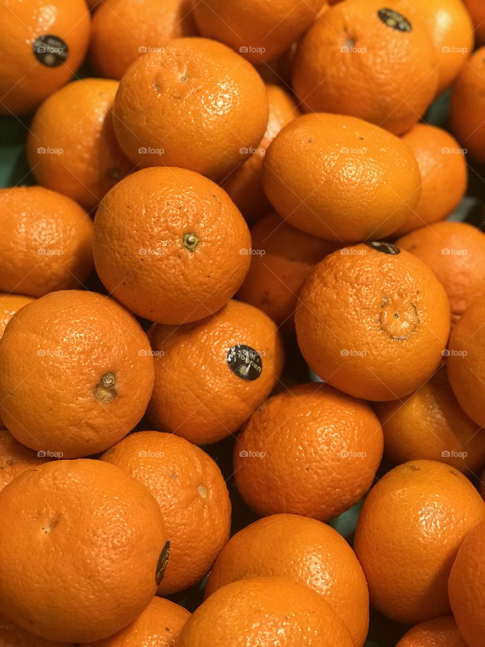 Brasilian laranjas 