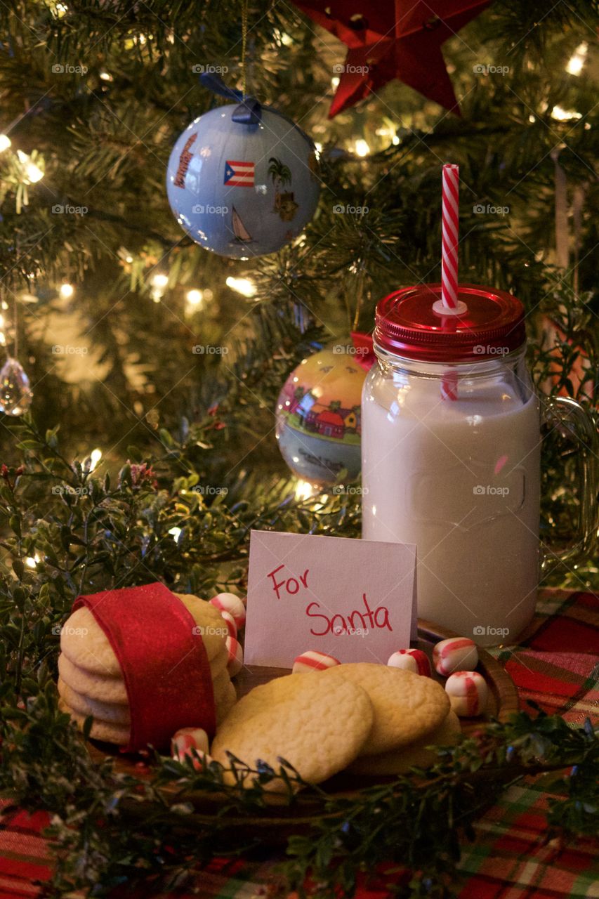 Christmas cookies and milk for Santa 