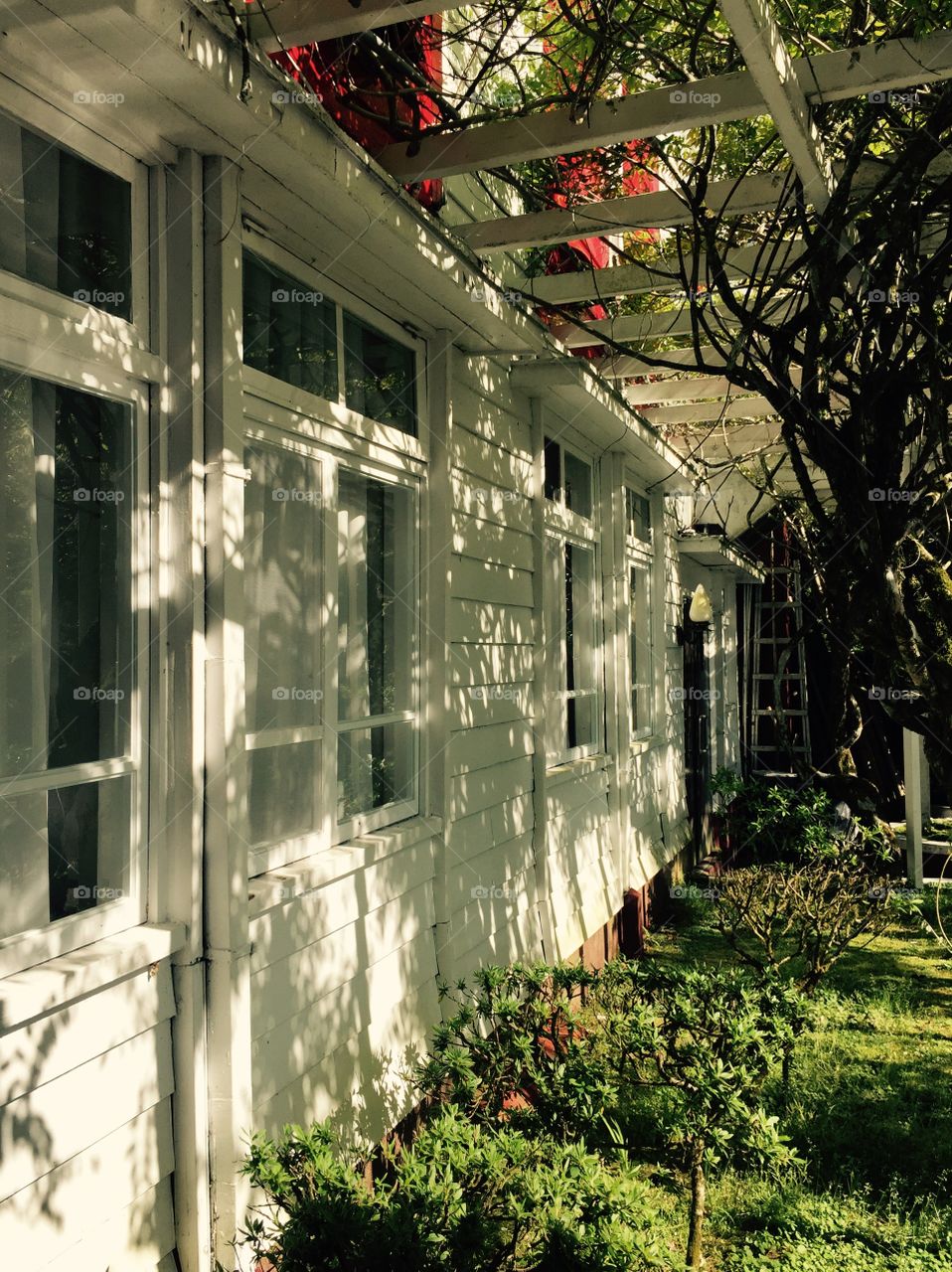 Old house . White color old house